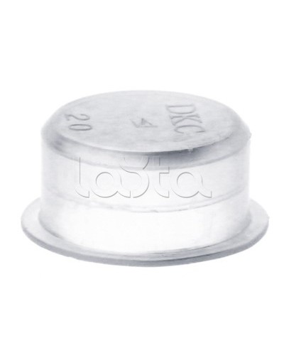 Заглушка для труб, IP40, д.25 мм DKC 50925 в Арзамасе Повороты, муфты, тройники Pintop.ru