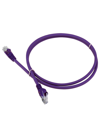 Патч-корд LANMASTER LSZH UTP кат.5e, 0.3 м, фиолетовый LANMASTER LAN-PC45/U5E-0.3-VI в Арзамасе Патчкорды (медные) Pintop.ru