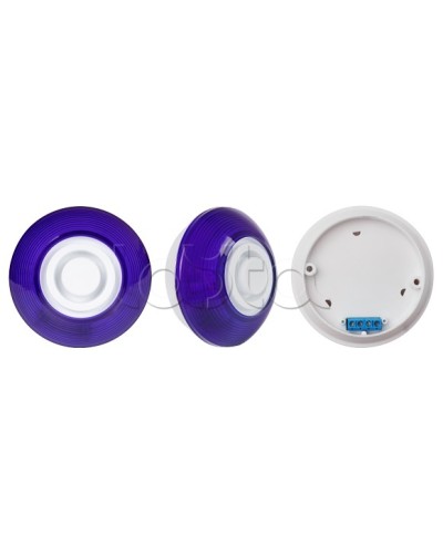 Оповещатель комбинированный SLT Марс 12-КП (строб, син) в Арзамасе Оповещатели Pintop.ru